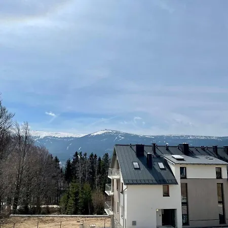 Daj Sobie Spokoj - Widok 800mnpm *