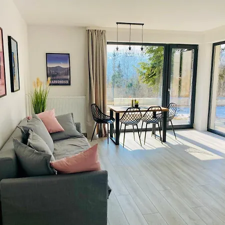 Daj Sobie Spokoj - Widok 800mnpm Ogrodek Szklarska Poręba