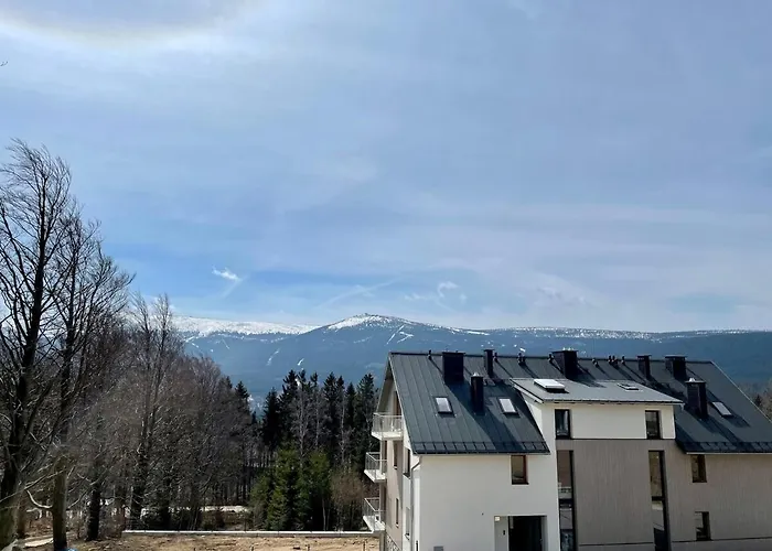 Daj Sobie Spokoj - Widok 800mnpm Ogrodek *